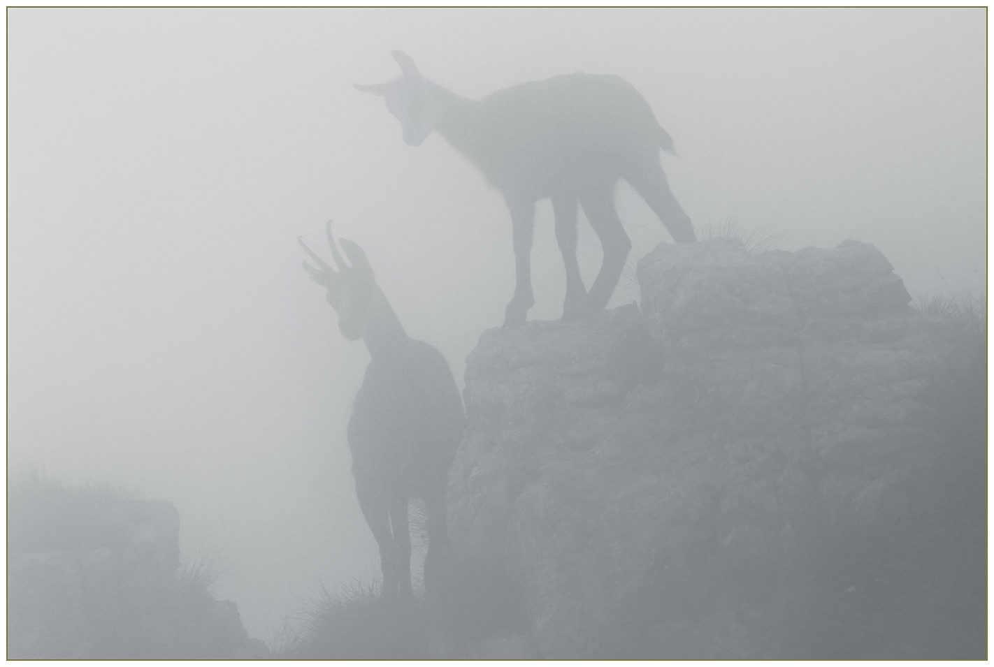 Mamma sono qui sopra!