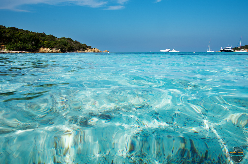 trasparenze - la maddalena