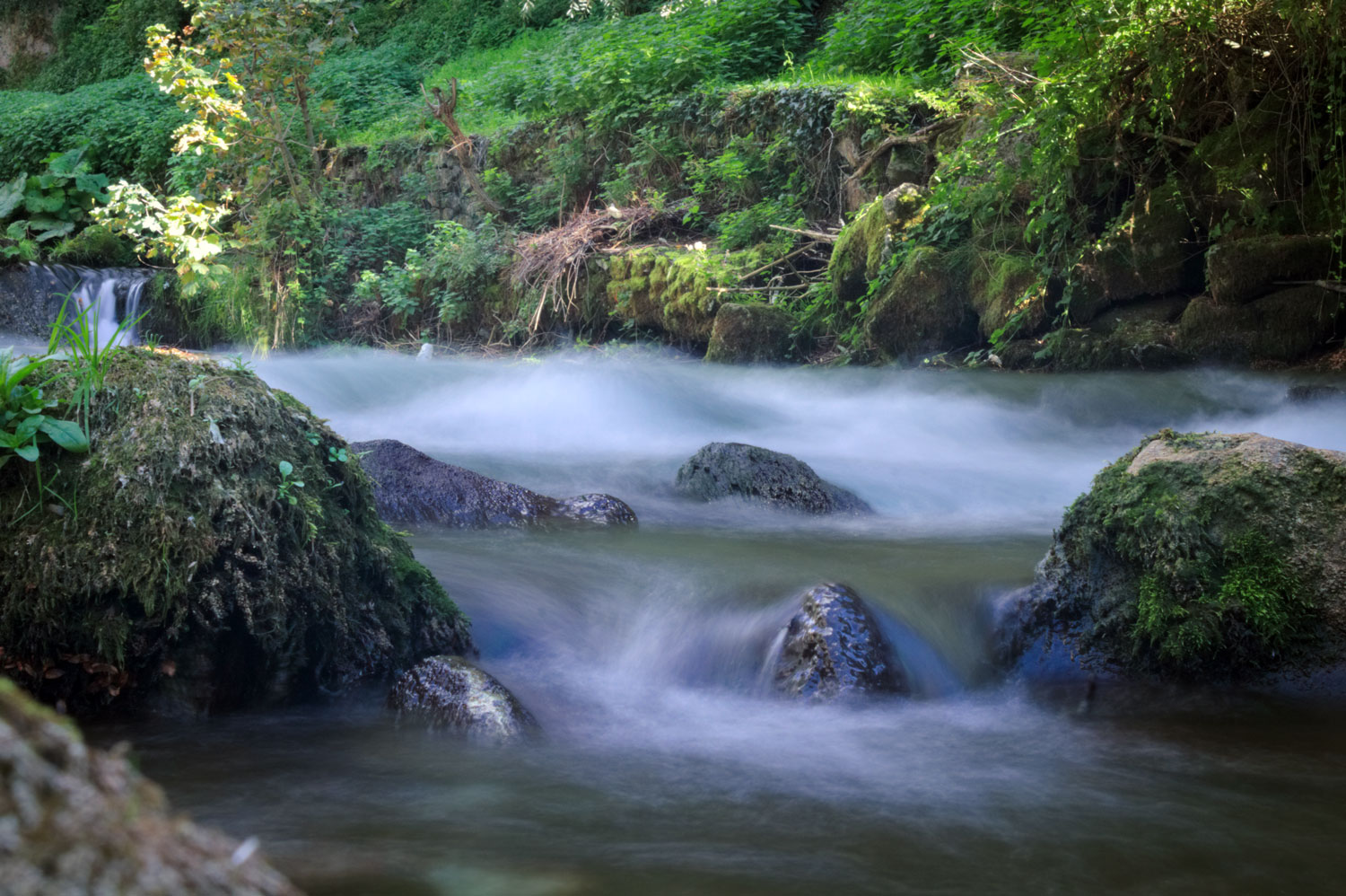 pennellate d'acqua...