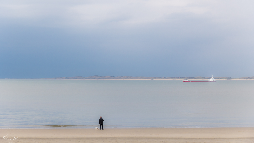 Il viandante e il suo amico