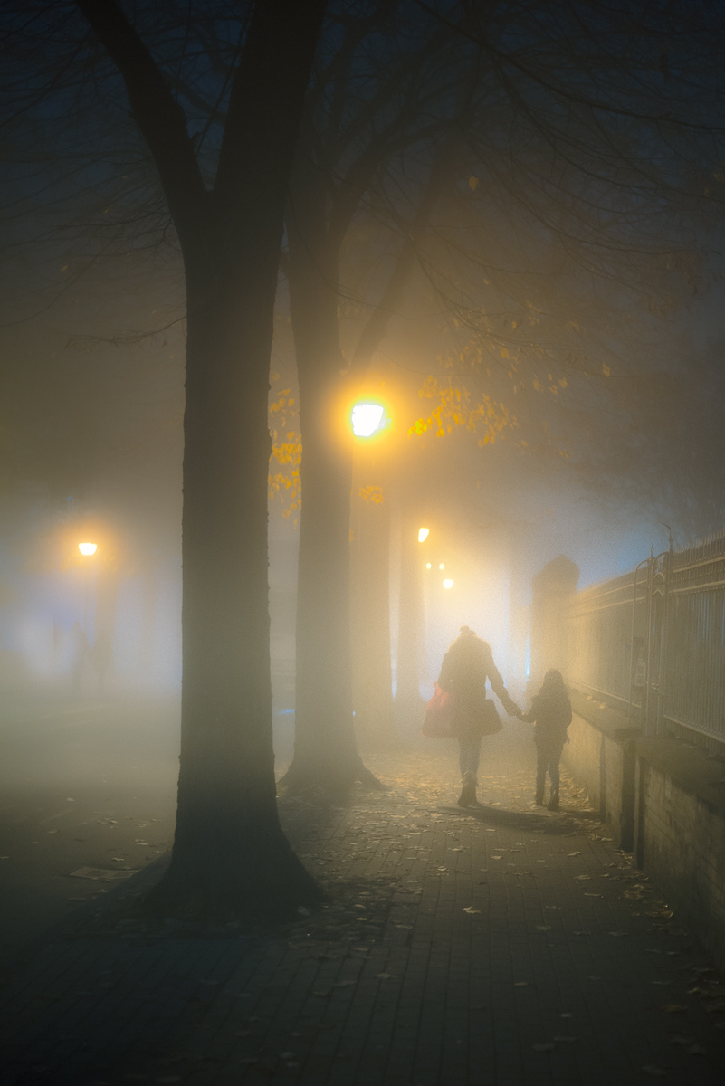 foggy night