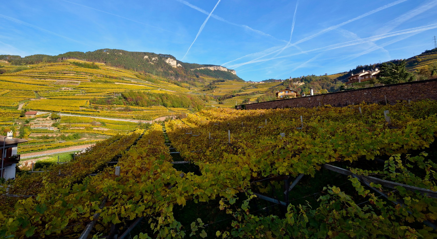 Autunno in Val di Cembra