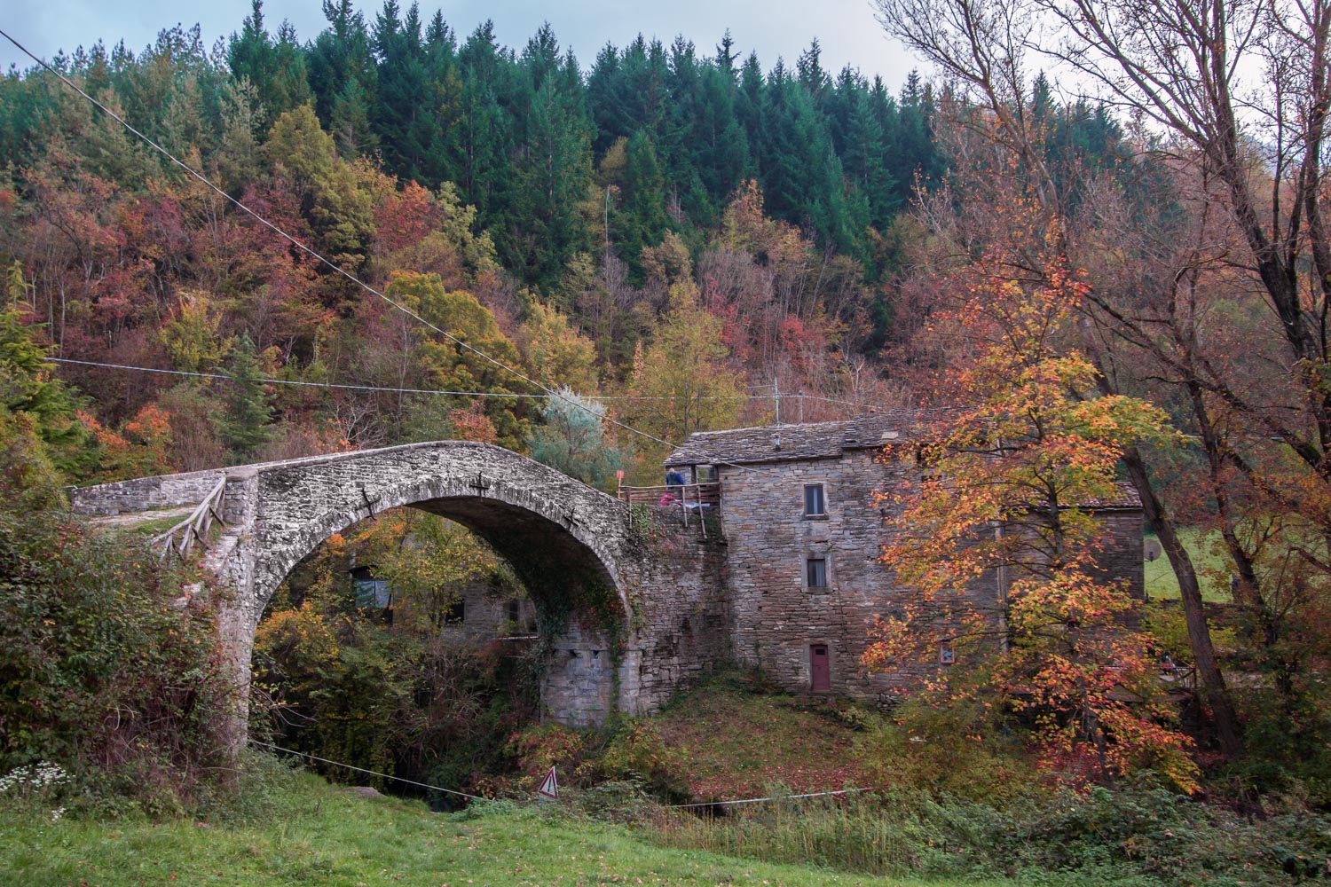 Dipinto d'autunno