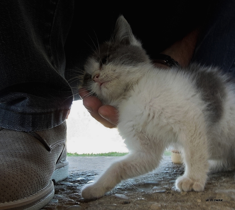 Le coccole a Min�