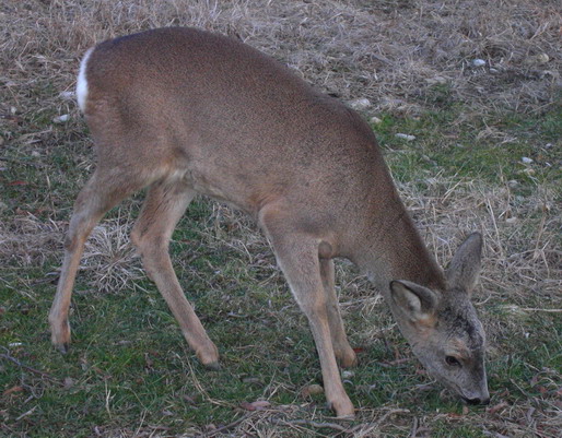 Che incontro emozionante!