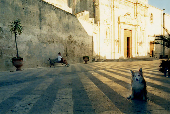pomeriggio di sole con cane