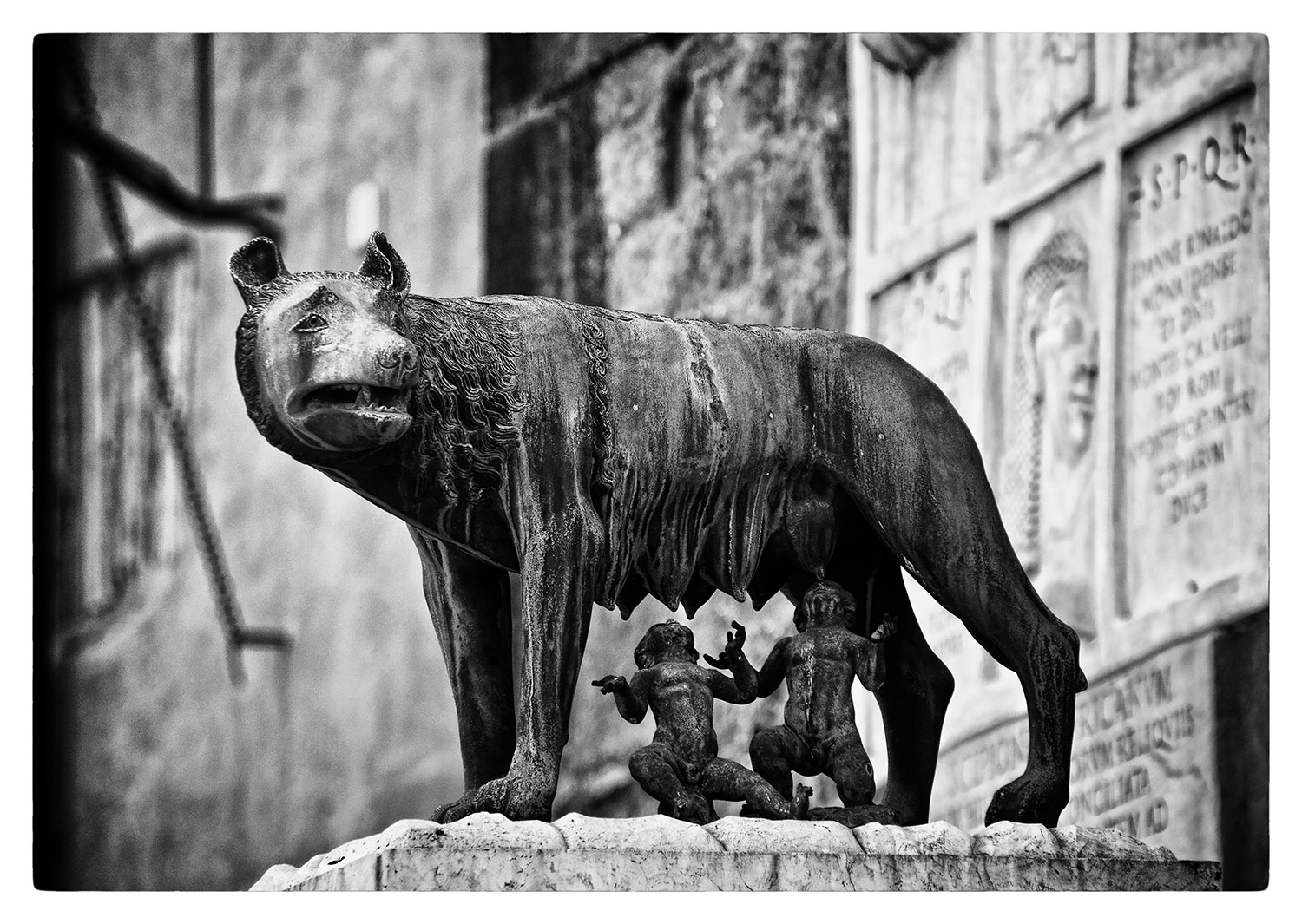 non c'� piu' nulla da magn�....