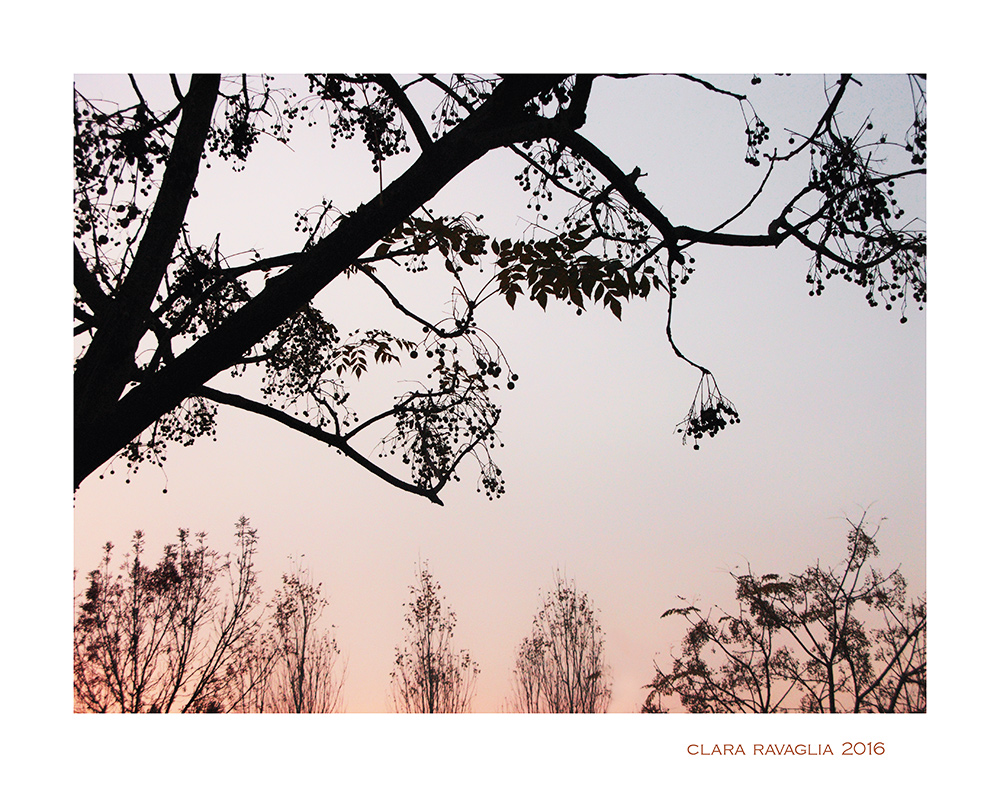 Ricami ....autunnali