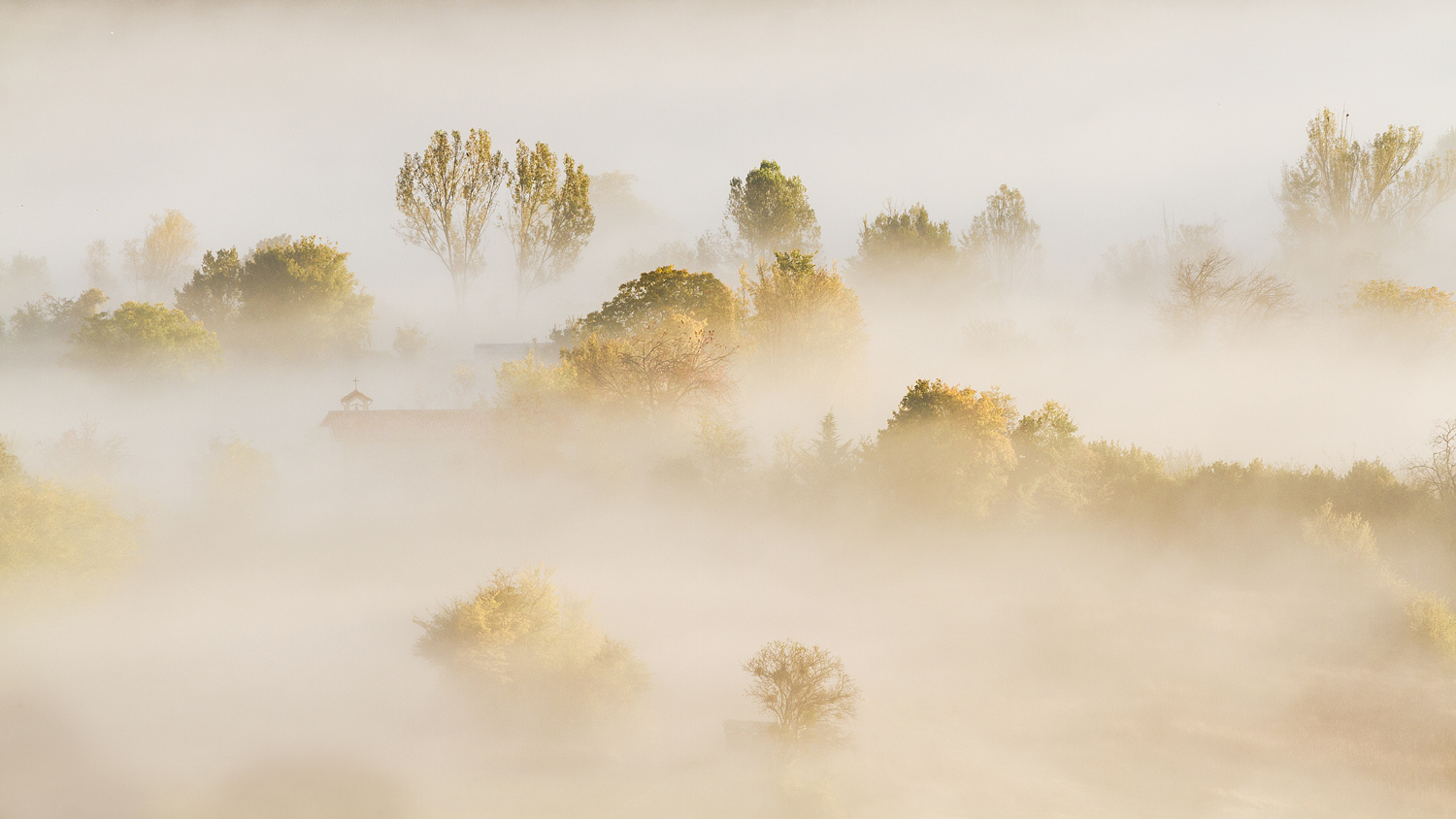 Contest Colori e Nebbie dell' Autunno