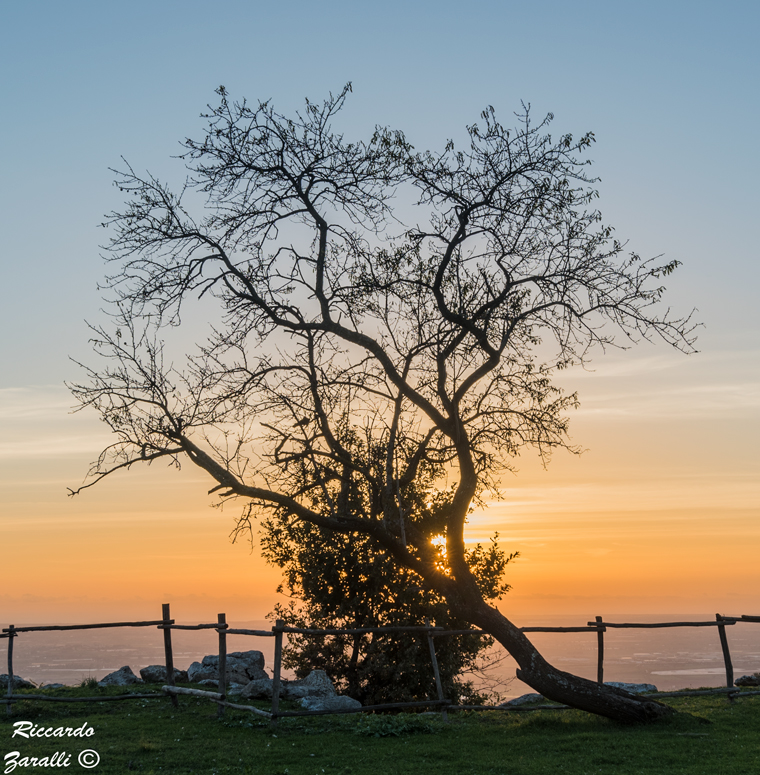 Coprimi che sono timido!