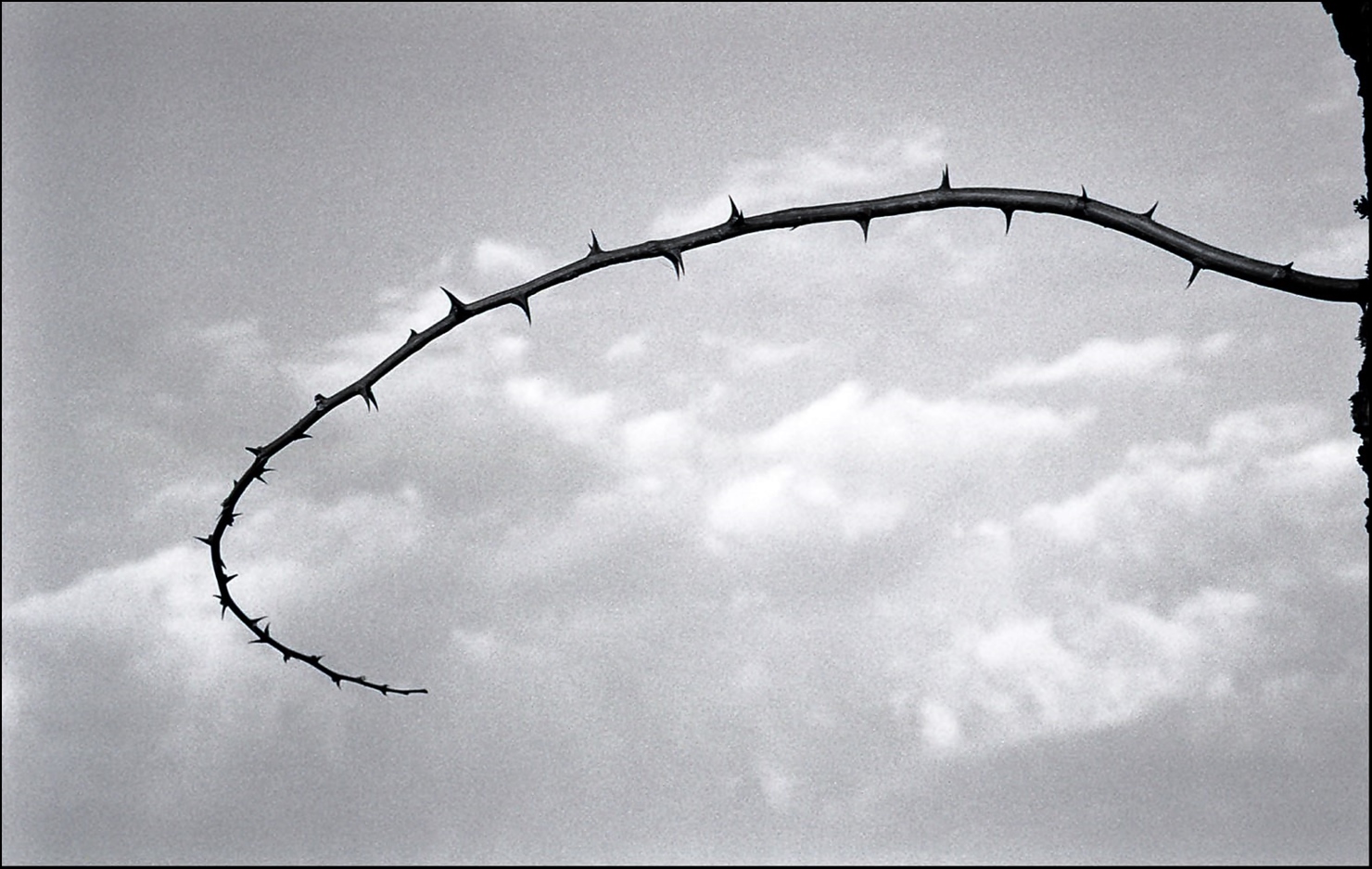 il flagello di Dio ;/)