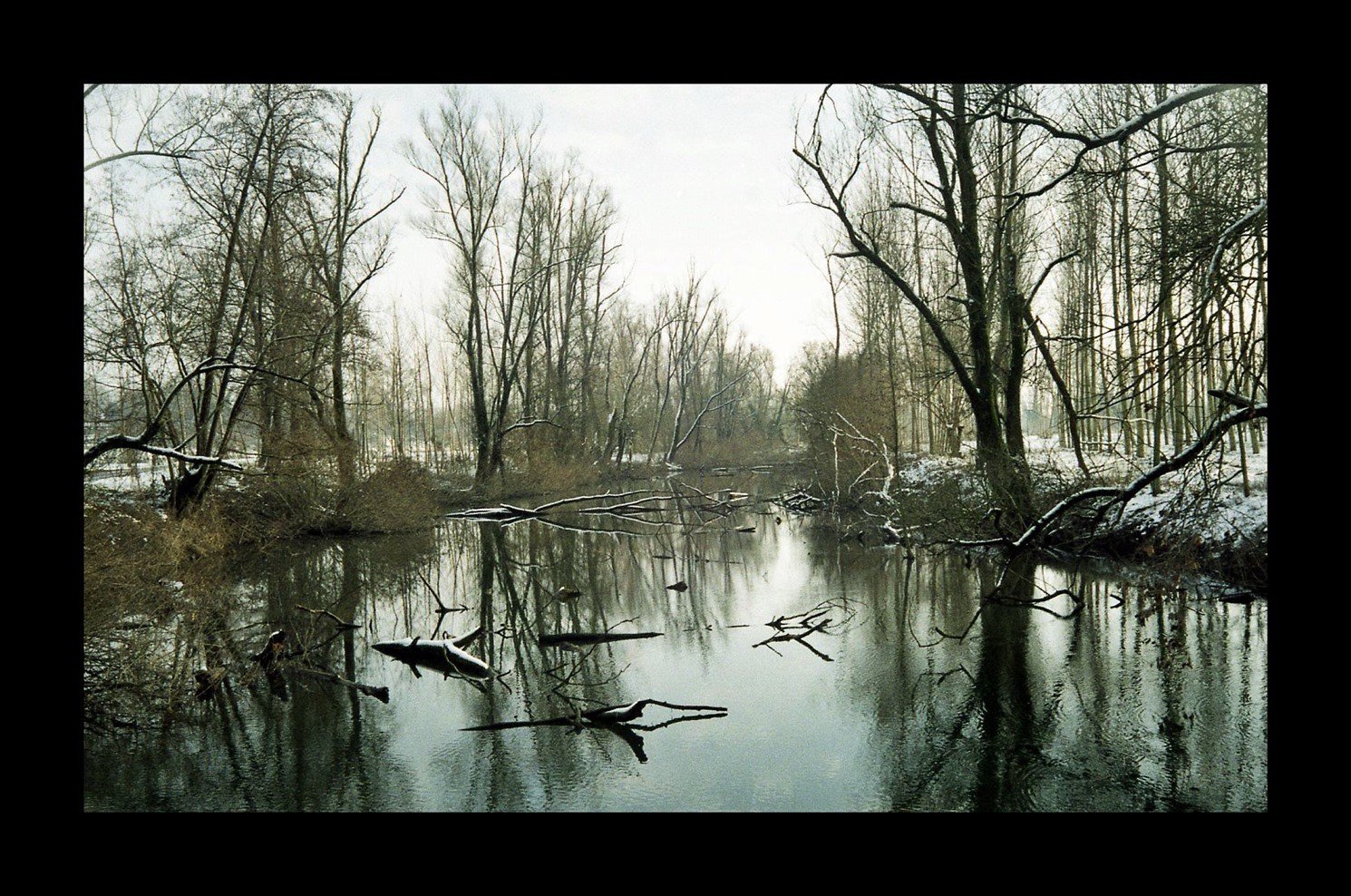 questo inverno passer� ...  ;/)