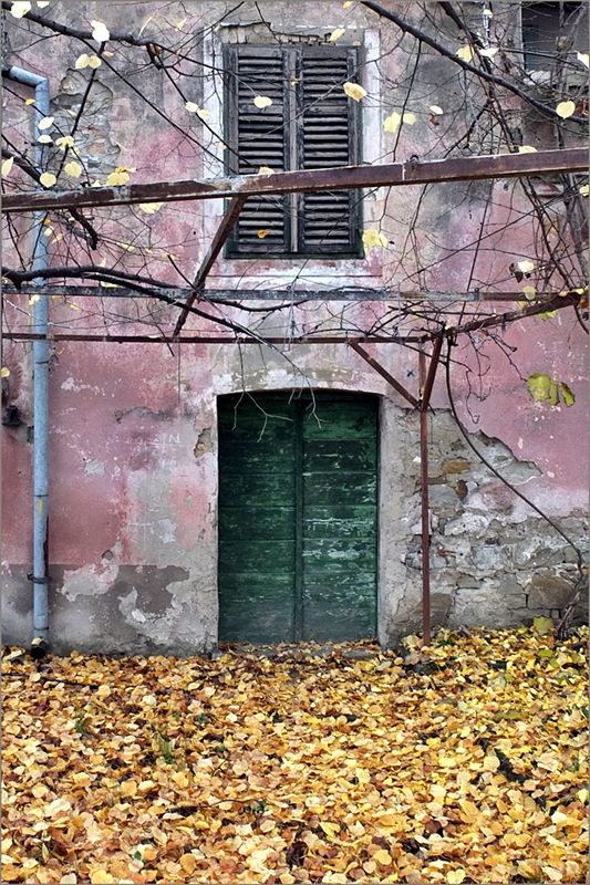 Autunno img.314