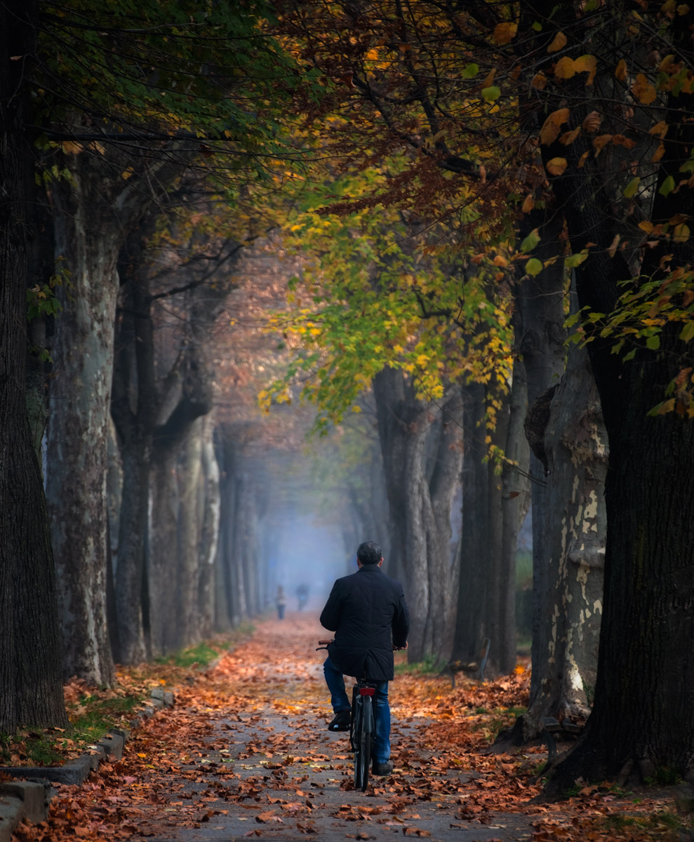 in bici dentro l'autunno...