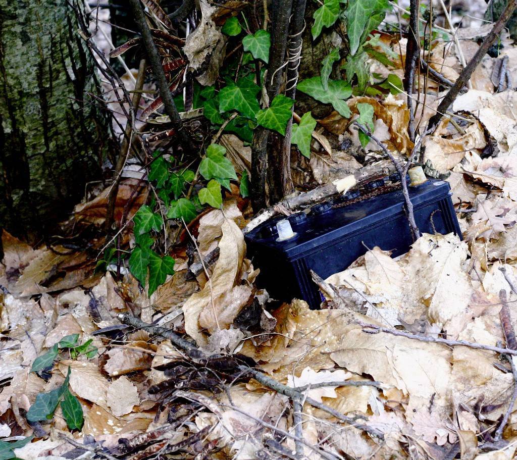 natura sotto carica...