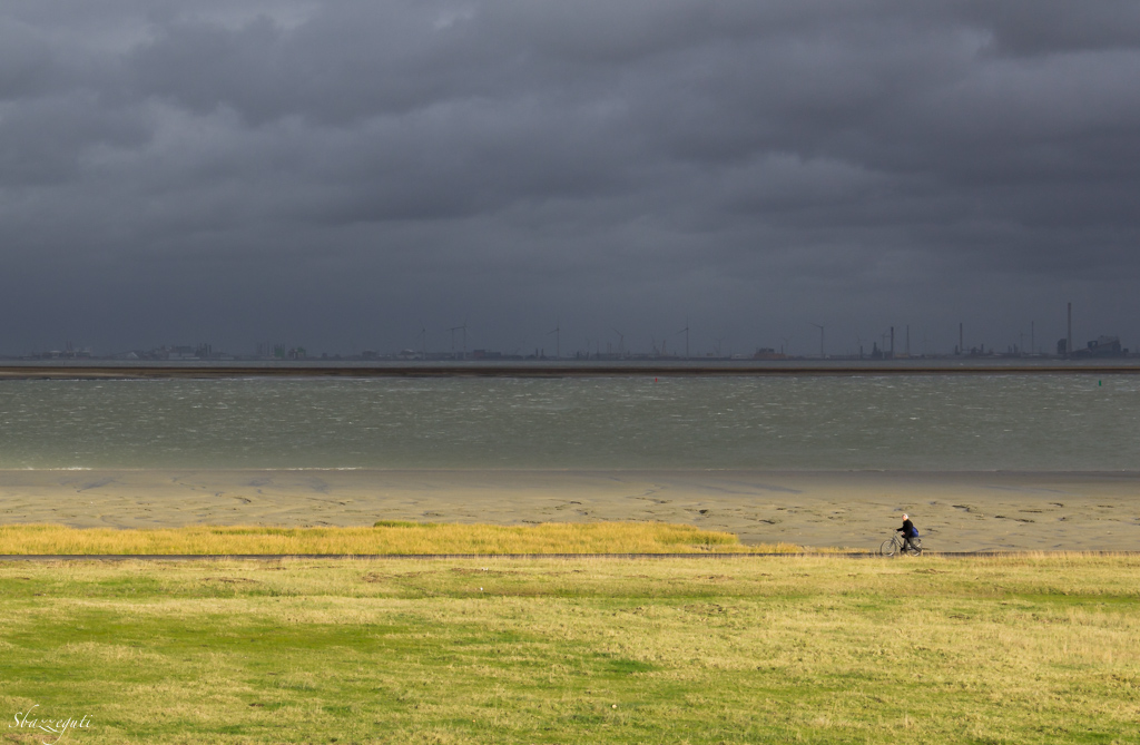 Il viandante e la sua compagna