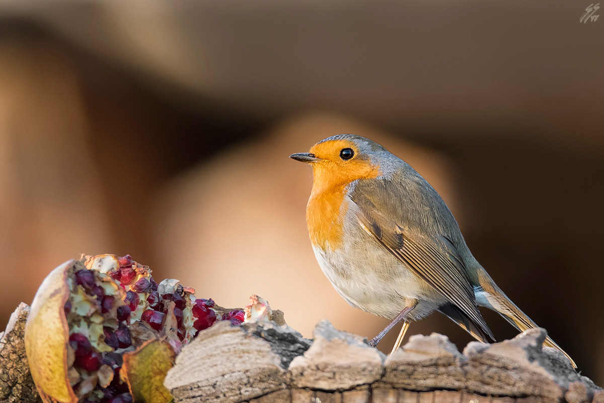 ..da domani mi metto a dieta!!..