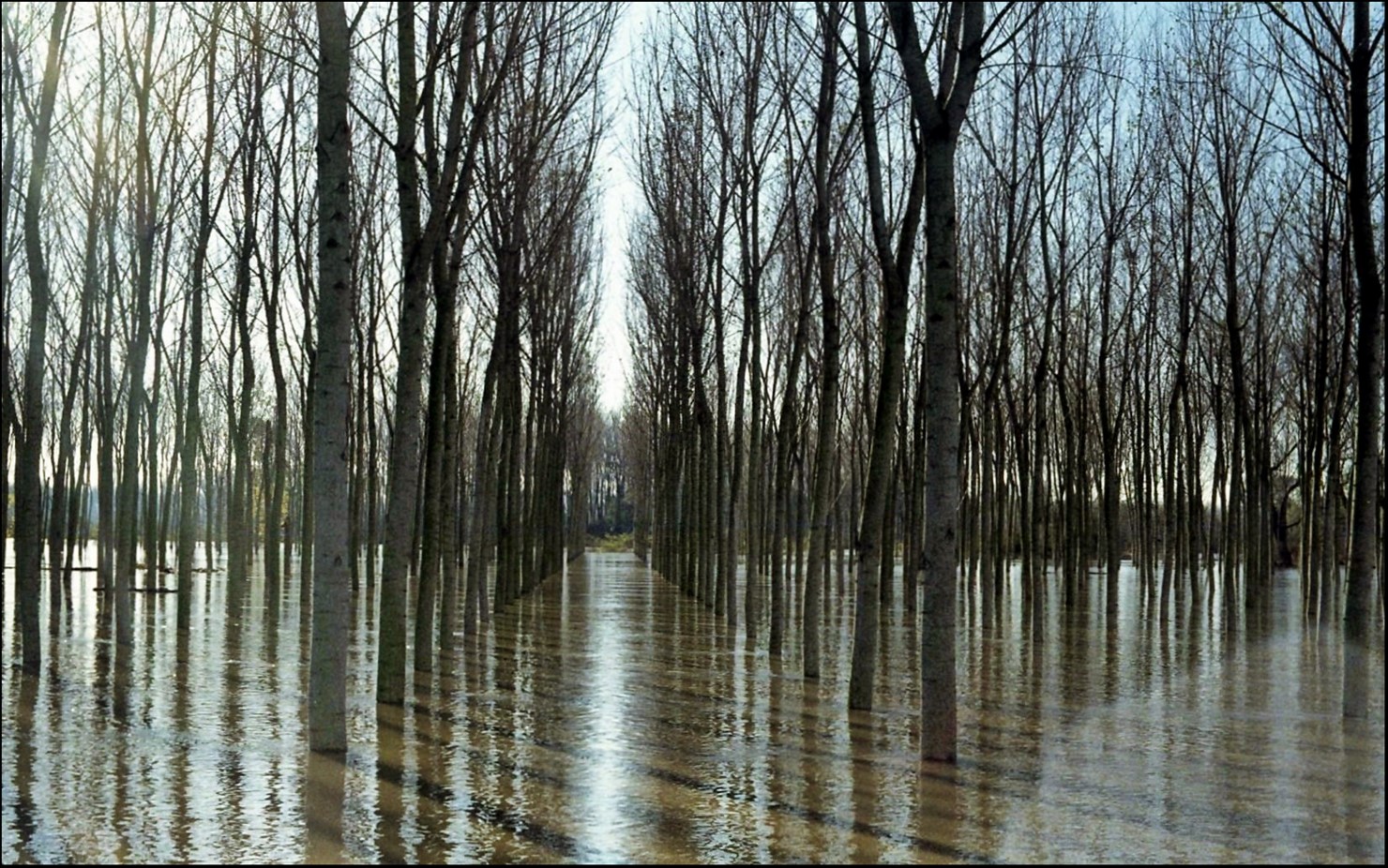 riflesso, riflusso ;/)