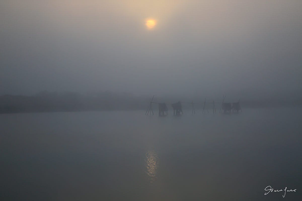 Prime luci del mattino e nebbia sul delta del Po