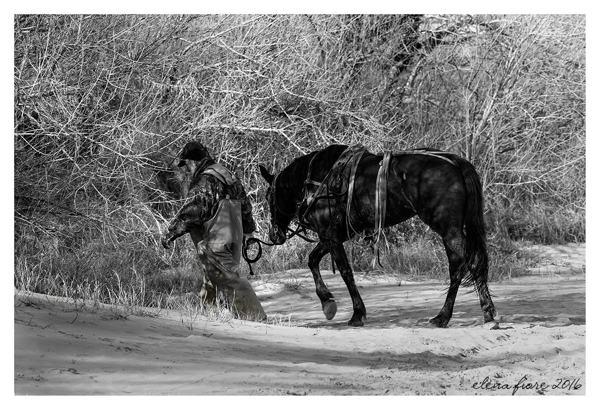 Sulla spiaggia a fine corsa