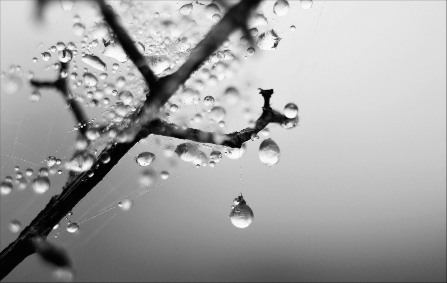 qualche goccia di "Digitale" ;/)