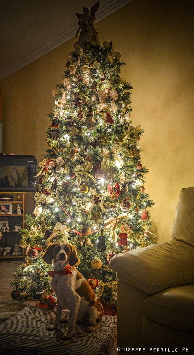 Christmas Atmosphere