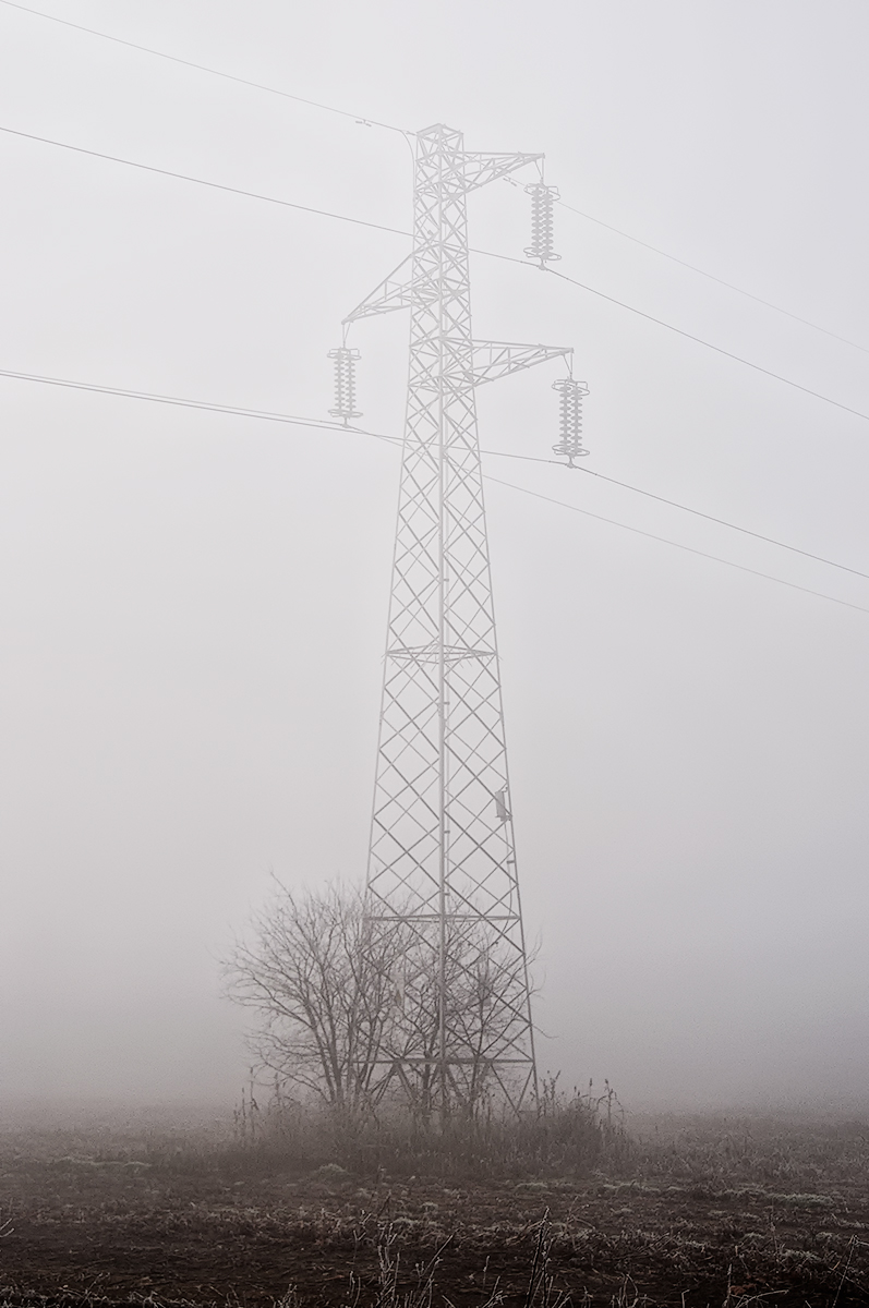 Cresciuto in campagna