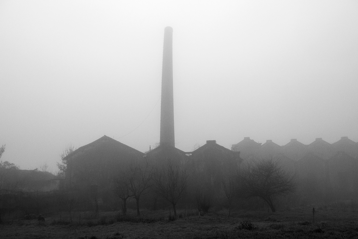 Fantasmi nella nebbia_2