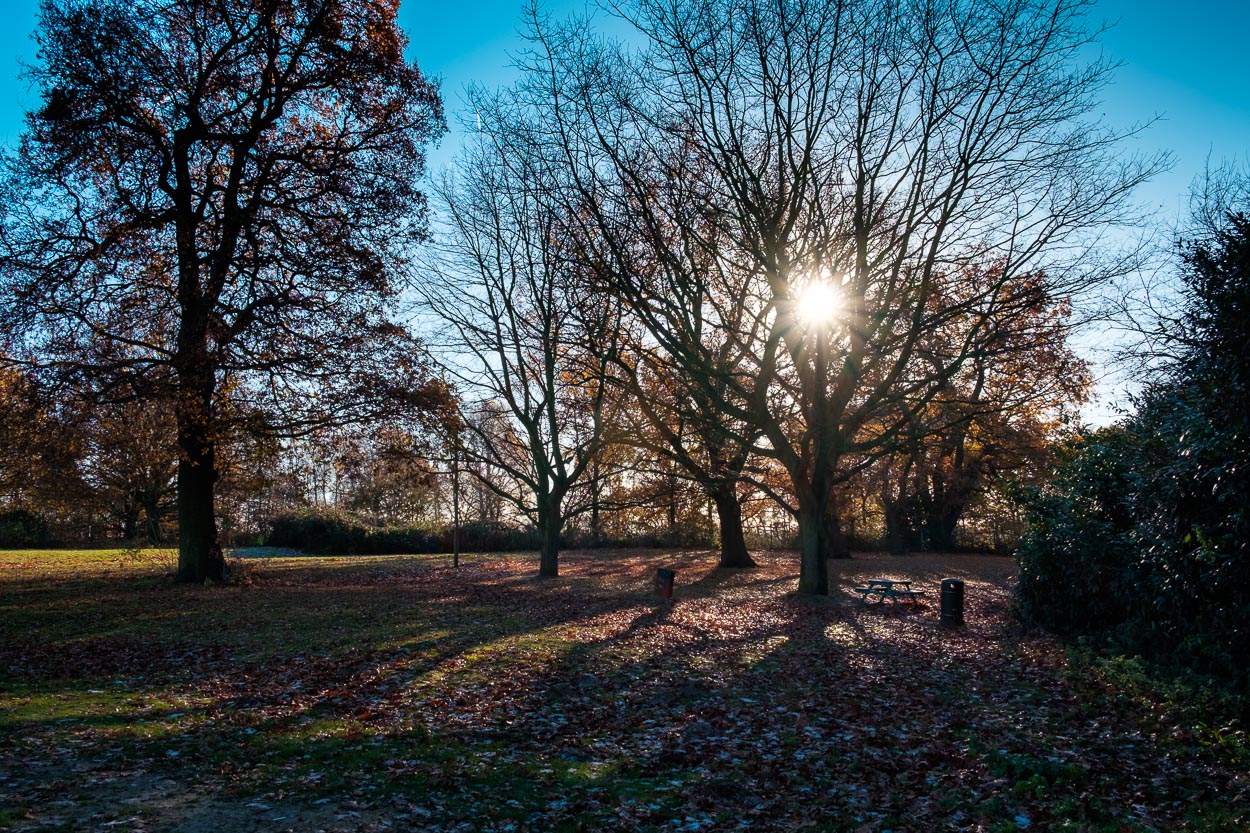 Ingatestone, Essex, December 2016