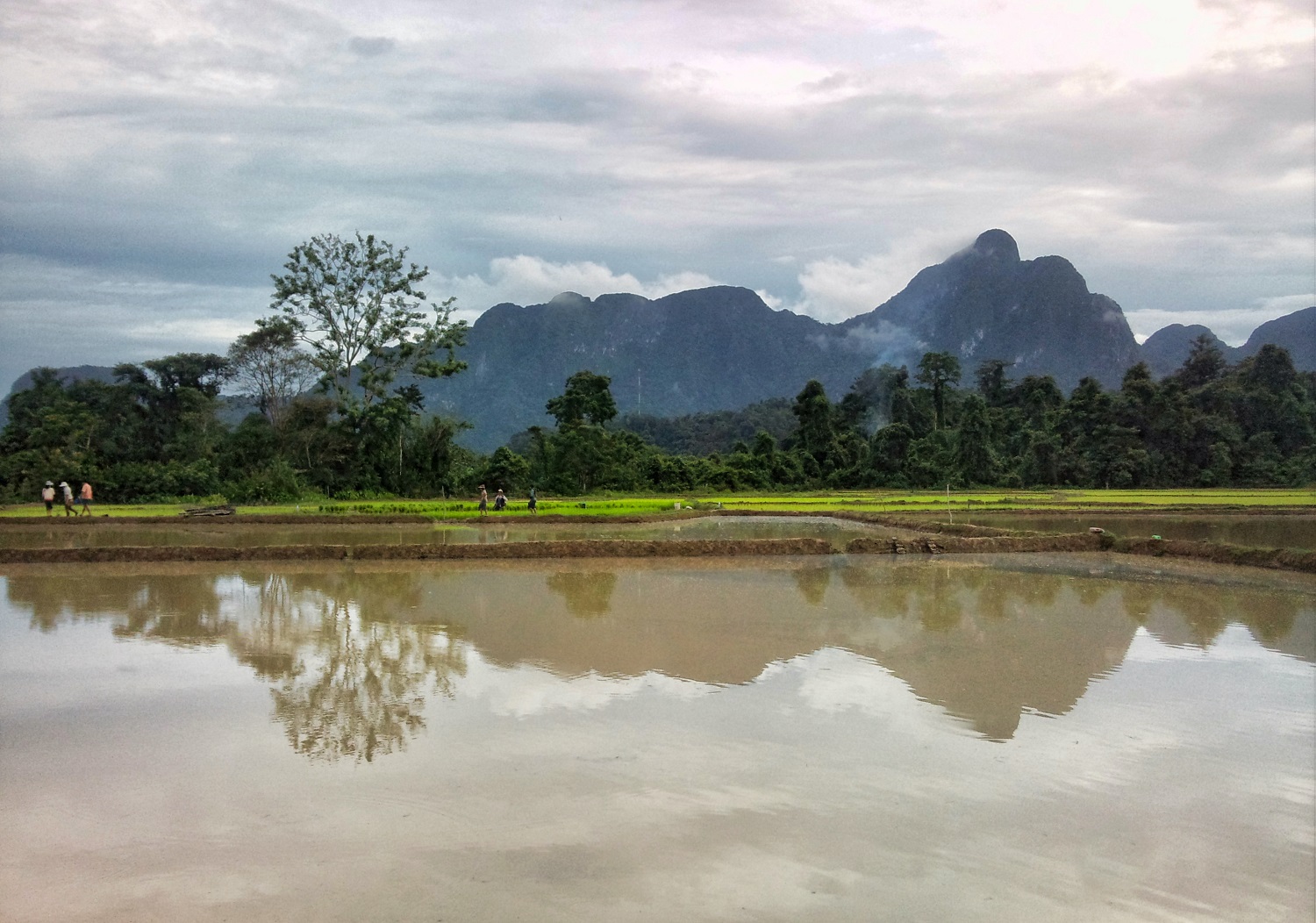 Datemi un....pollicione!