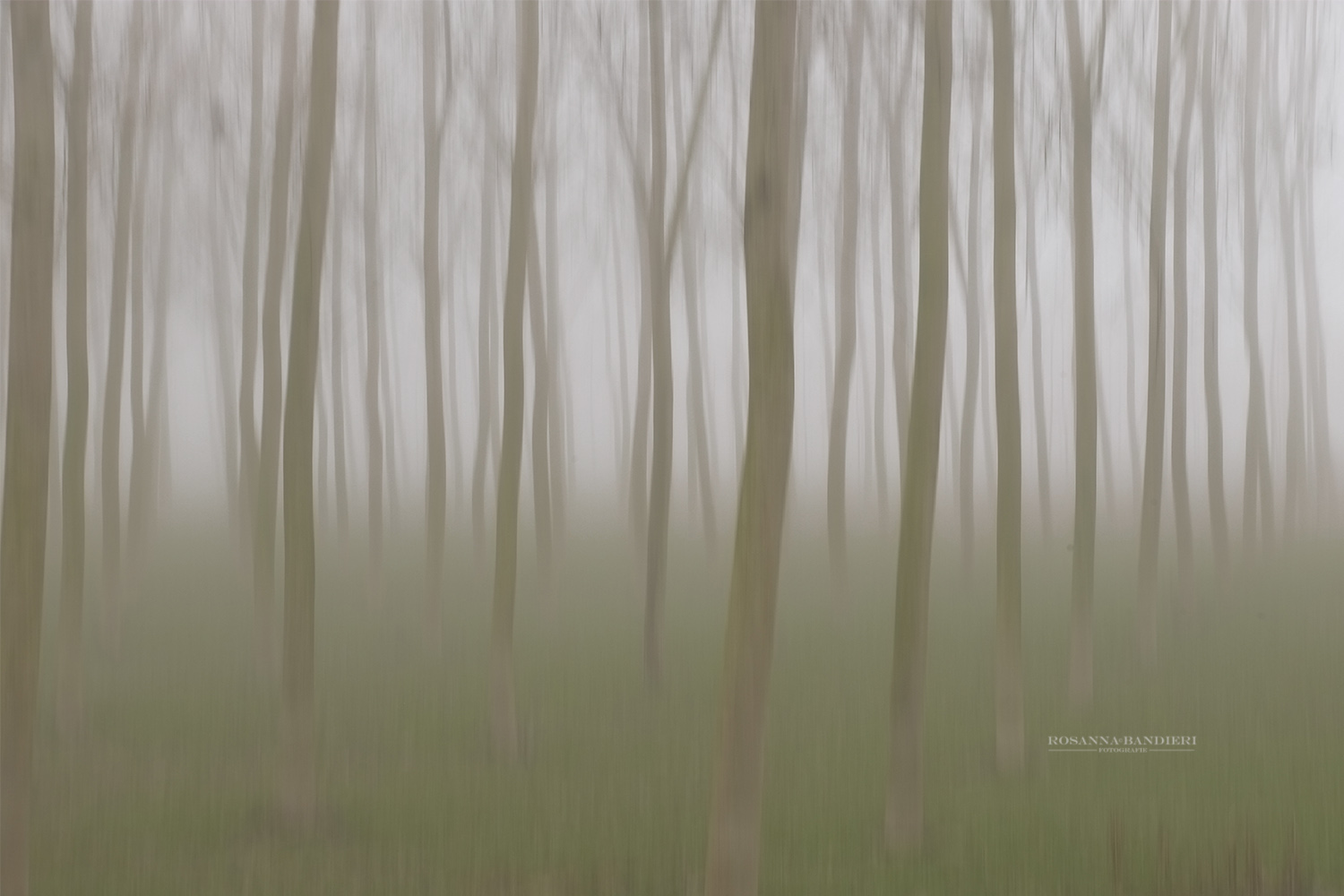 Regno delle tenebre padane (cit)