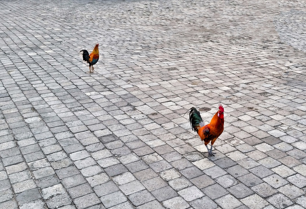 Ognuno per la sua strada...