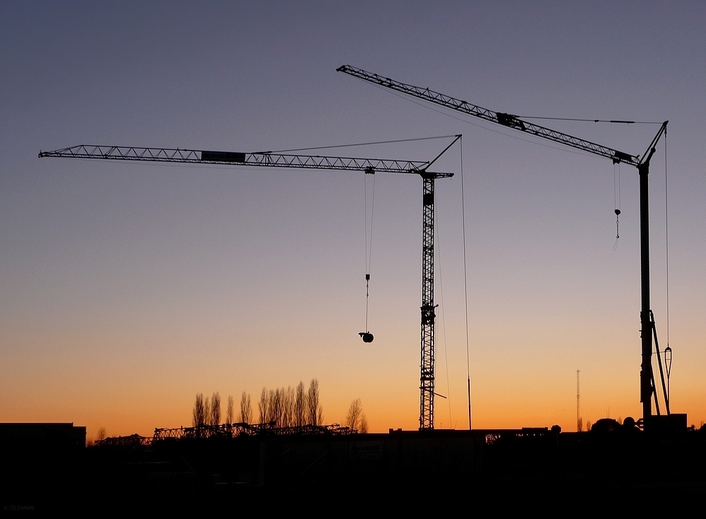 Giraffe metropolitane