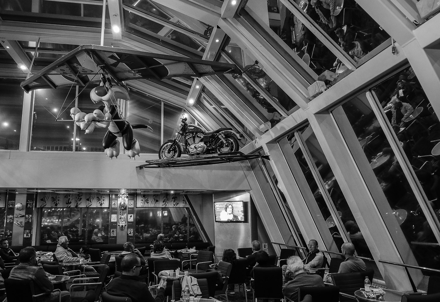 U.F.C.    (unidentified flying cat)