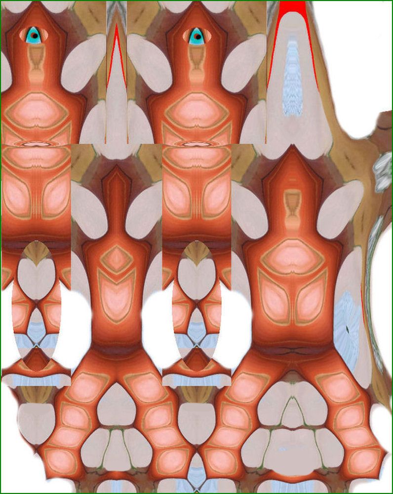 La RIVISTA : inizia lo spettacolo
