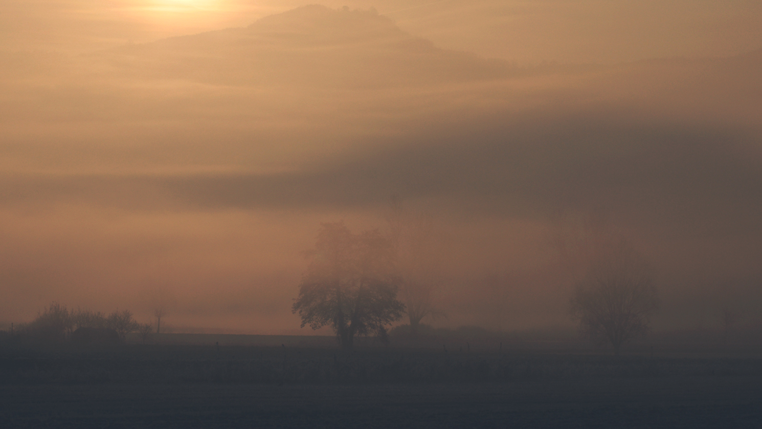 Alba tra nebbie e colli