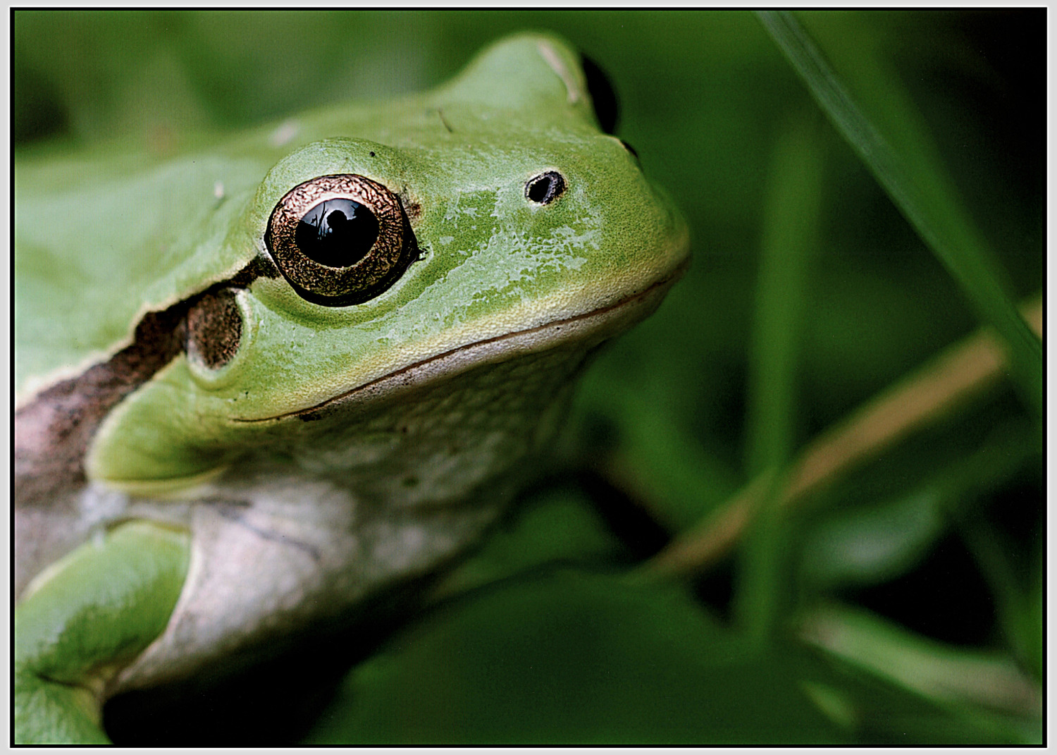 Prima d'esser principessa!
