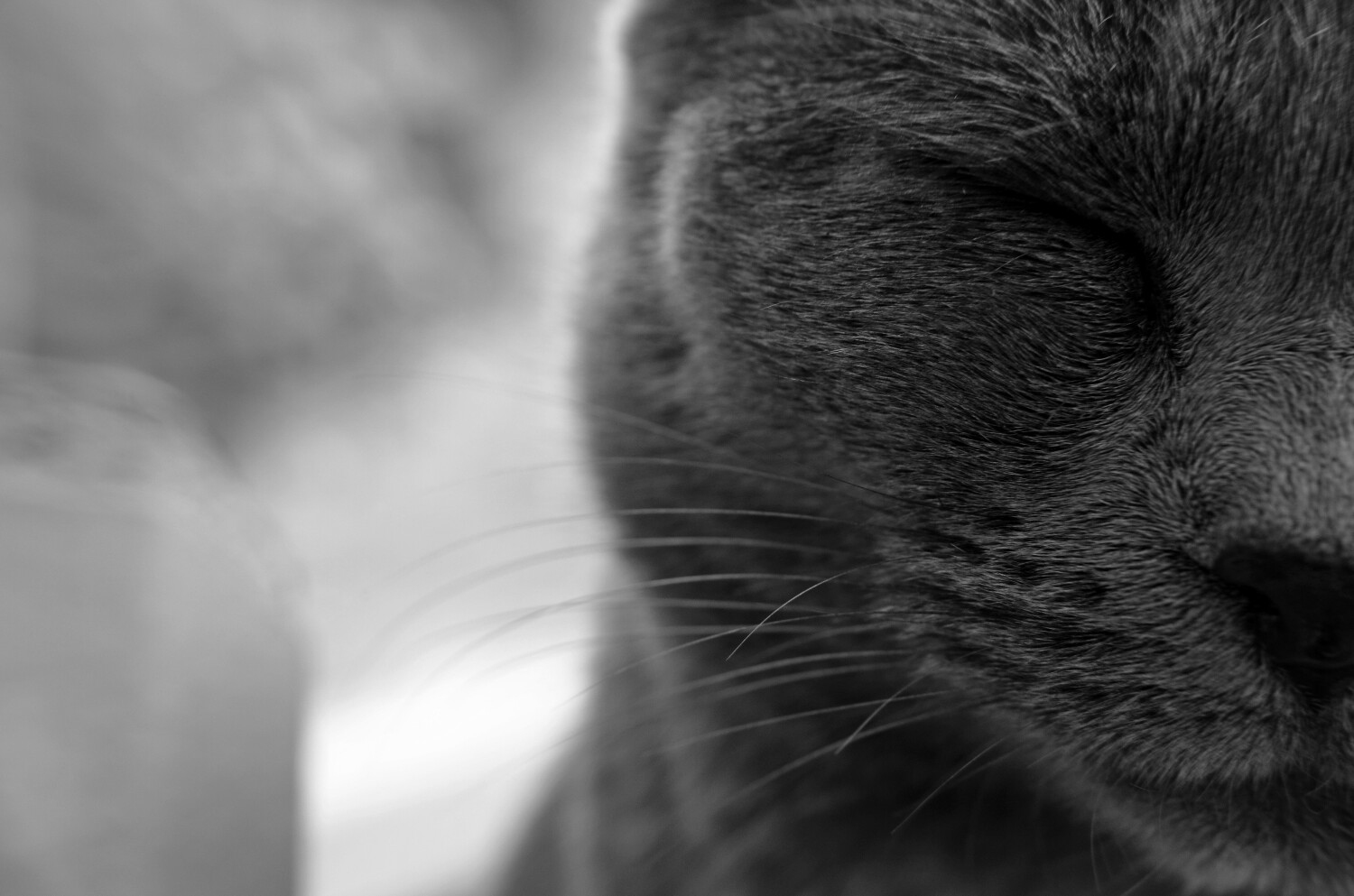 Ferma,immobile a pensare...