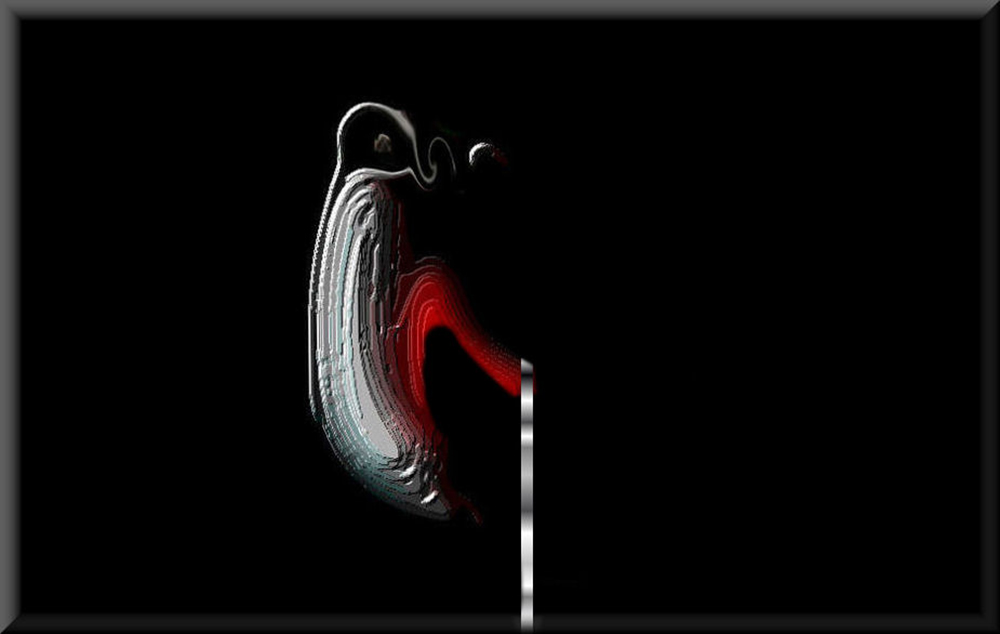 nella bacheca entomologica