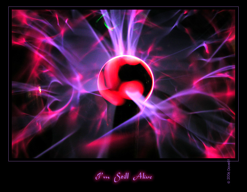 I'm still Alive