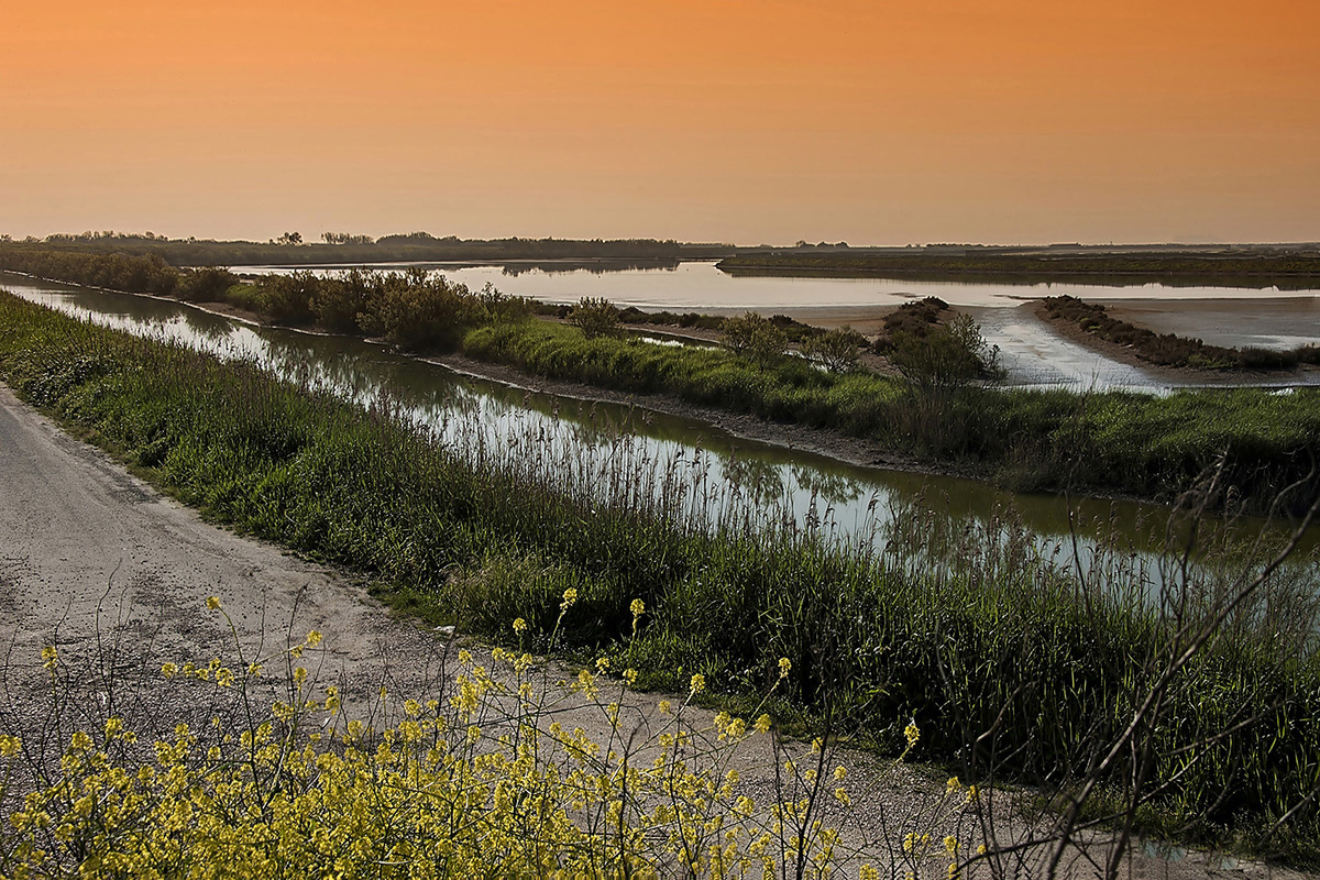 alba sul Po di Maistra