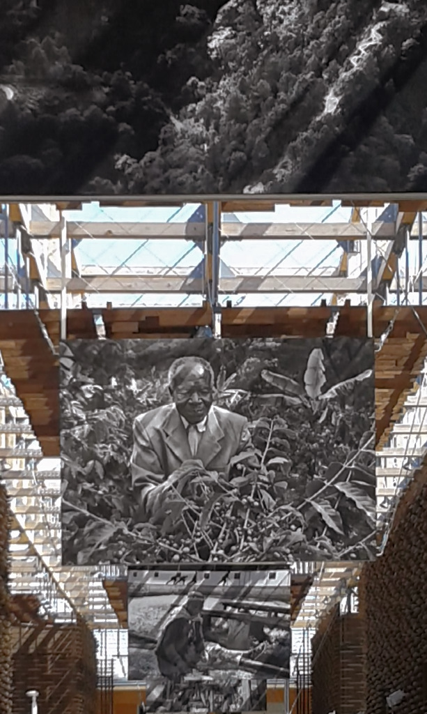 Sebastiao Salgado e le piantagioni di caff� (Expo 2015)