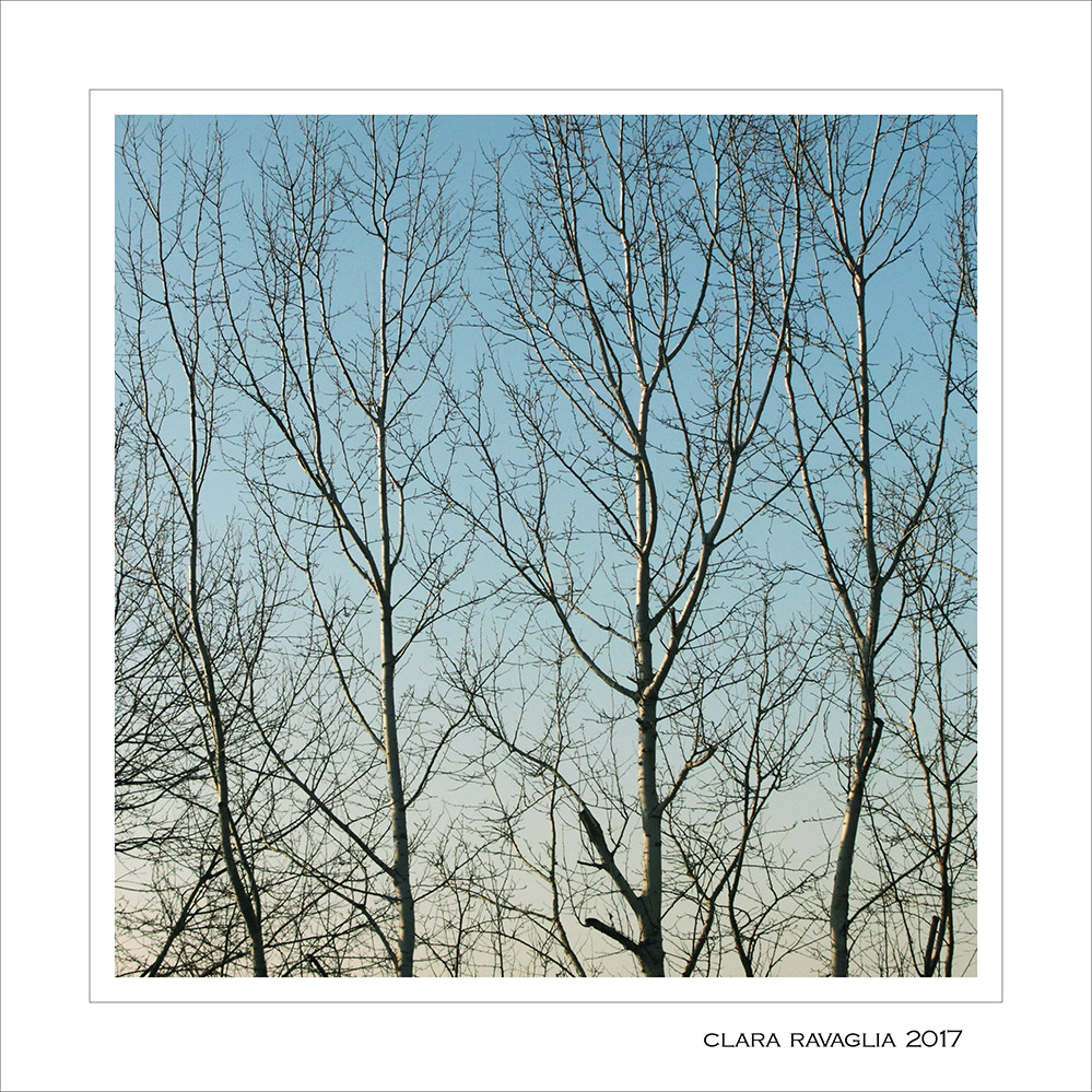 Silenzio...parla l'inverno