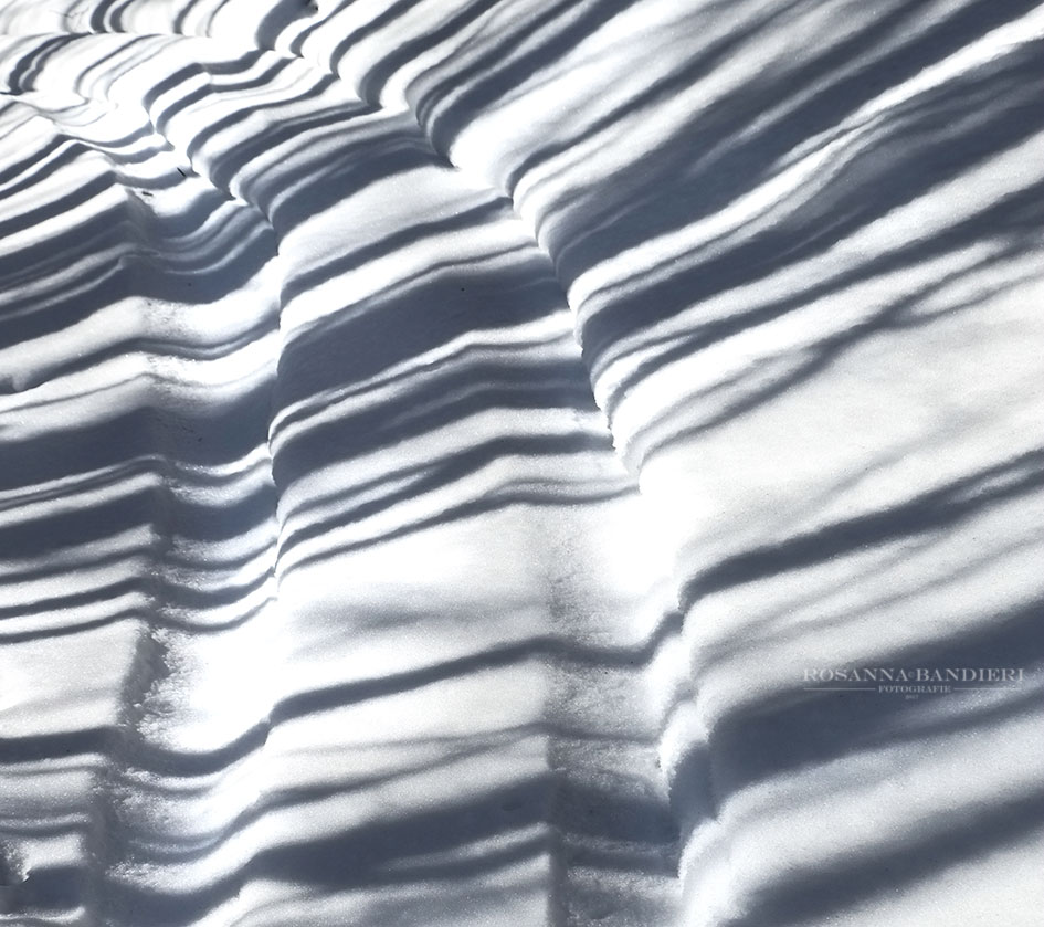 Just Cavalli? Chi � ?