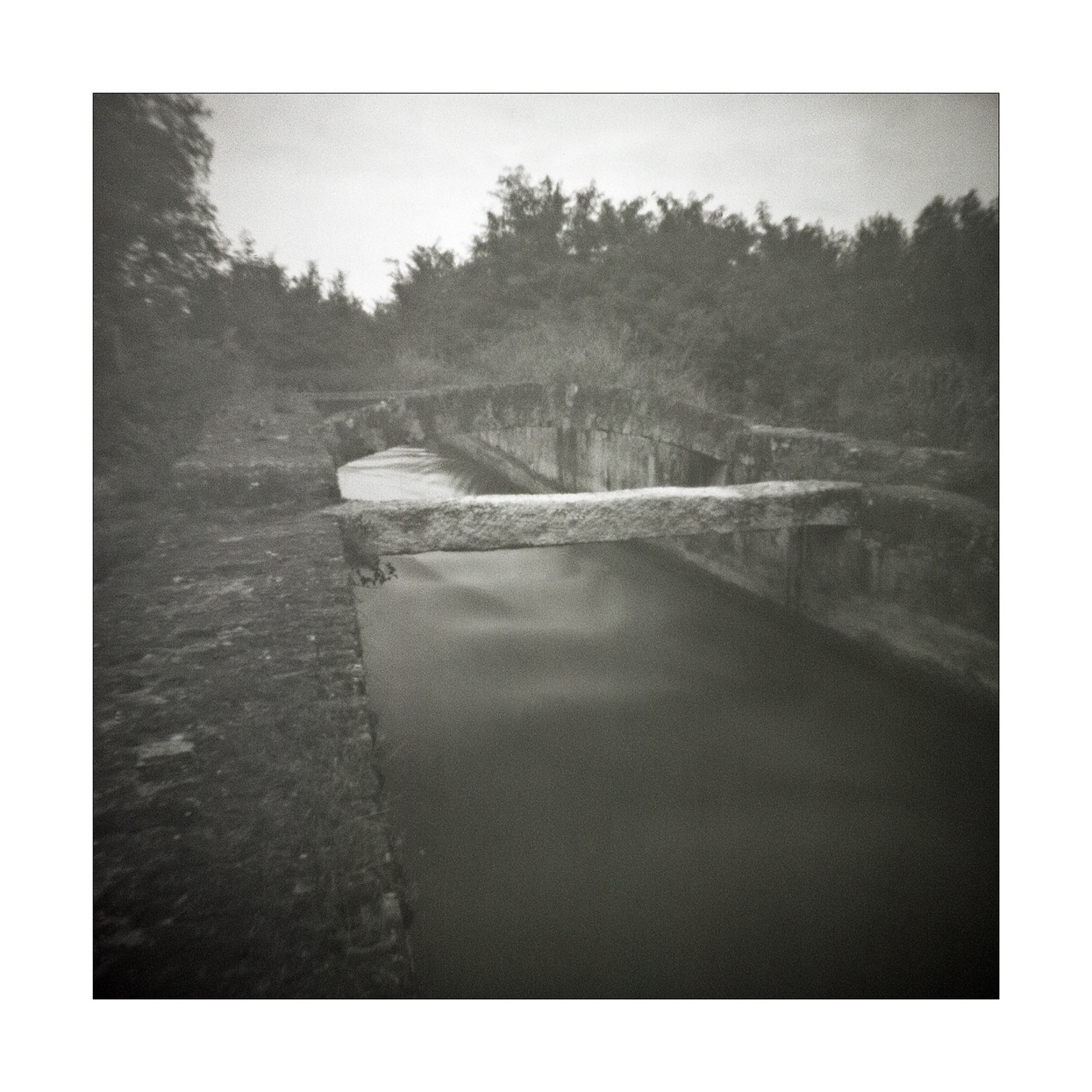 Alla riscossa stupidi, che i fiumi sono in piena, potete stare a galla ... ;/) pinhole