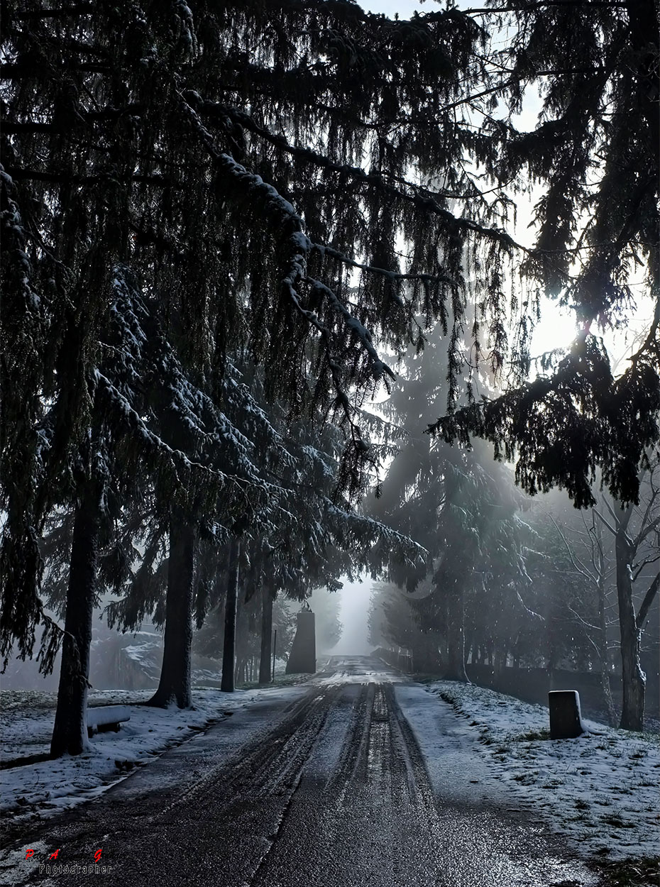 CONVENTO DI MONTE SENARIO 1
