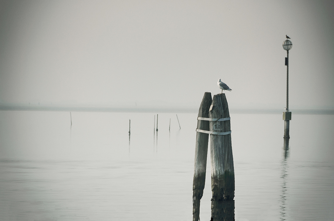 Lui mi guarda, lei mi guarda....