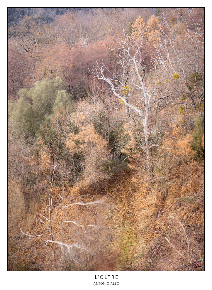 L'oltre