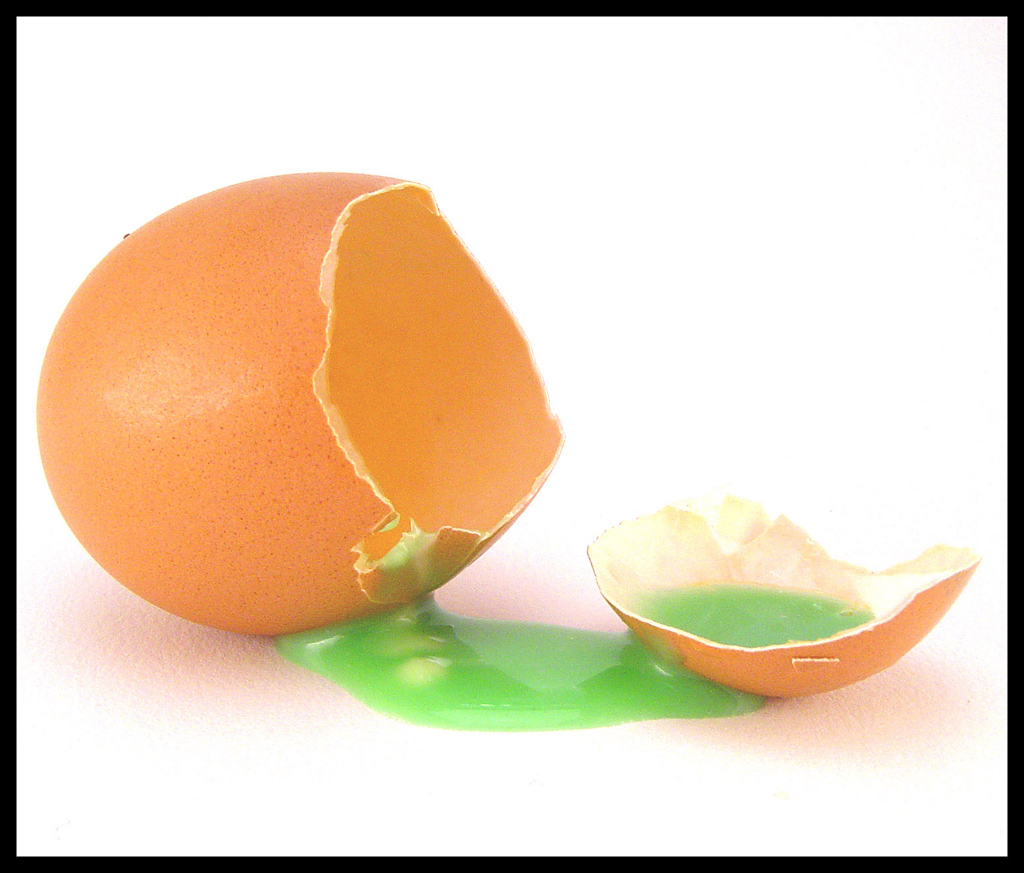 La psicosi aviaria continua