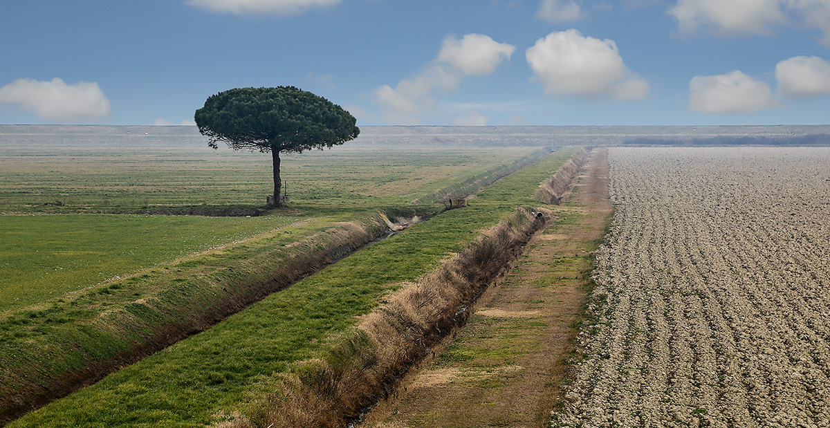 Stagione di aratura 2